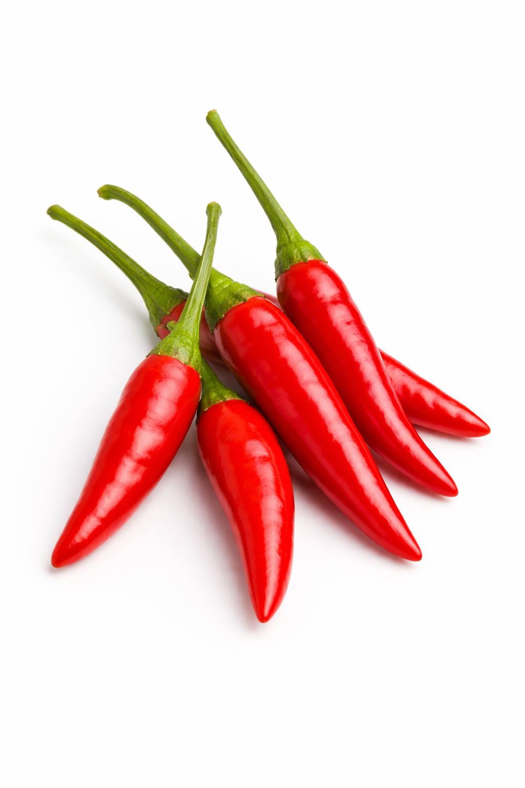 Bird’s Eye – Piment avec niveau Scoville 4